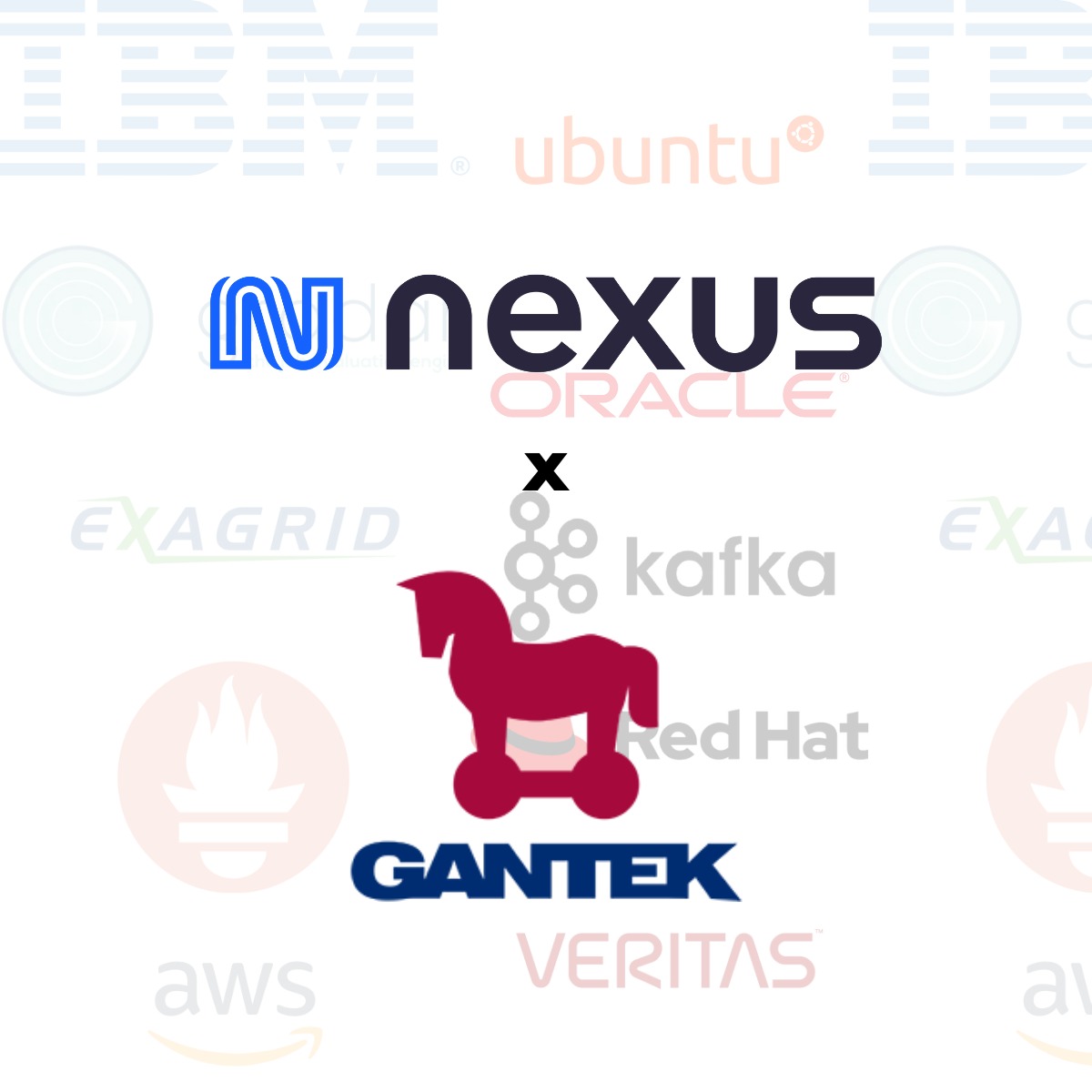 Strength in Partnership: Nexus x Gantek